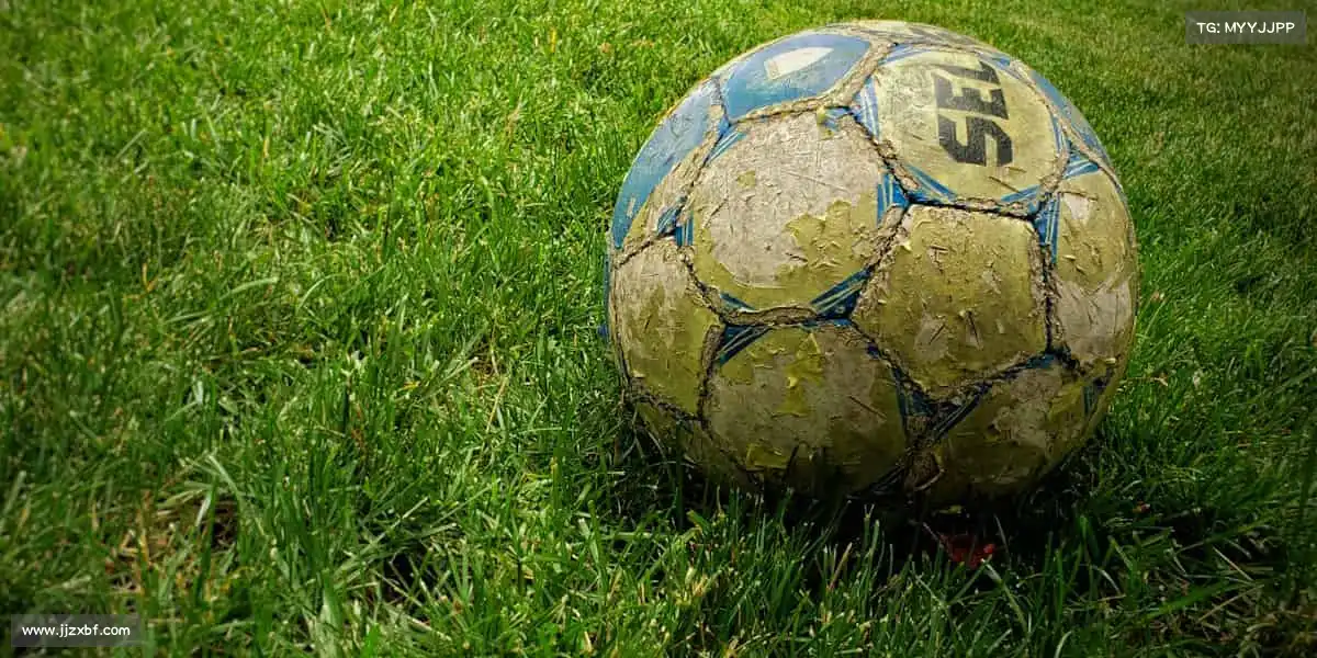 我们的品牌价值